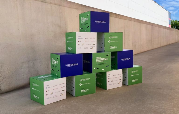 caixa-redessa-768x565