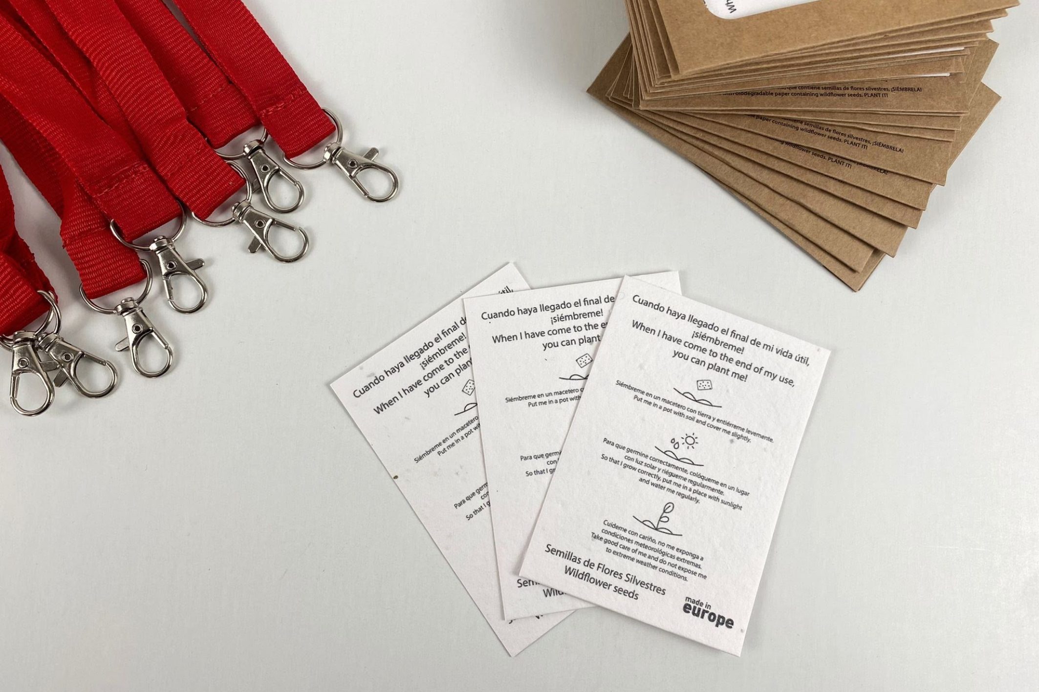 IMG-20250122-WA0021_400kb